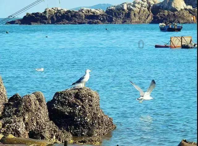 一顿浪漫晚餐